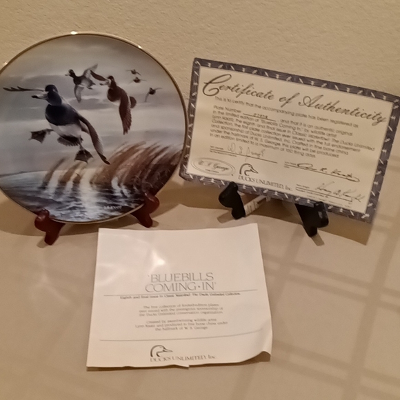 Collector Plate - Picture 6 of 10